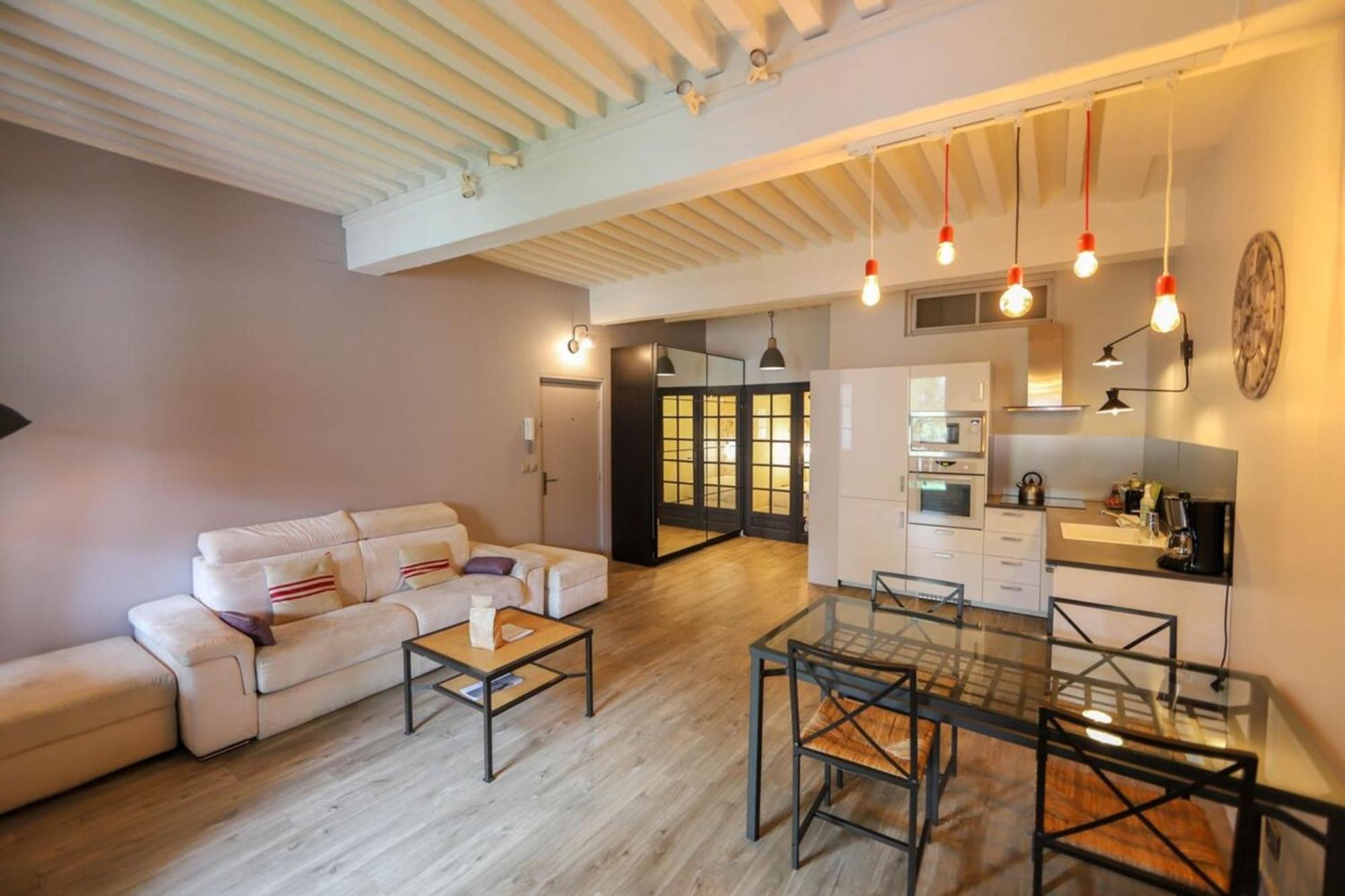 55 M2 Apart With Big Terrace In Annecy Downtown المظهر الخارجي الصورة